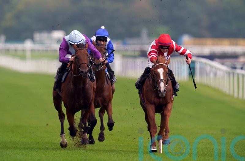 King’s Gambit impresses in London Gold Cup