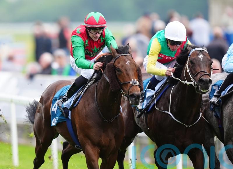 Diligent Harry firmly on target for Ascot after York near-miss