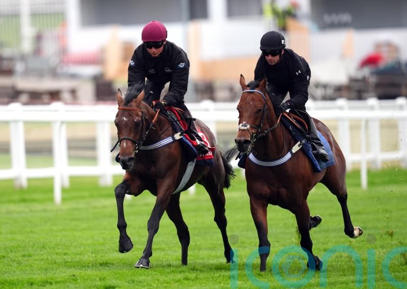Stars align for Dancing Gemini to get Derby go-ahead