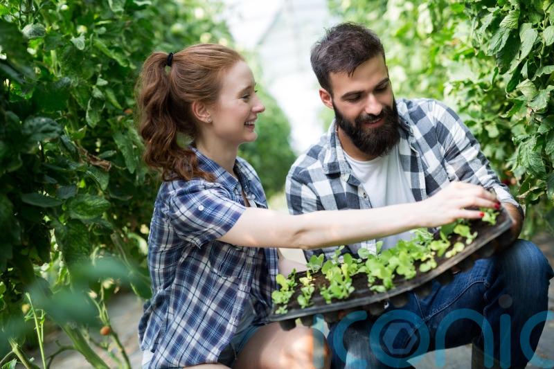 How to save money when kitting out your garden this summer