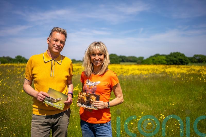 How to get kids interested in the wildlife around them – according to BBC Springwatch presenters
