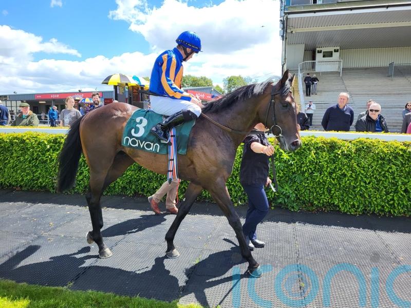 Celtic Chieftain puts his name into the Ascot mix for O’Brien