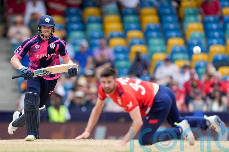 Michael Jones: Happy days if Australia want to help Scotland knock out England