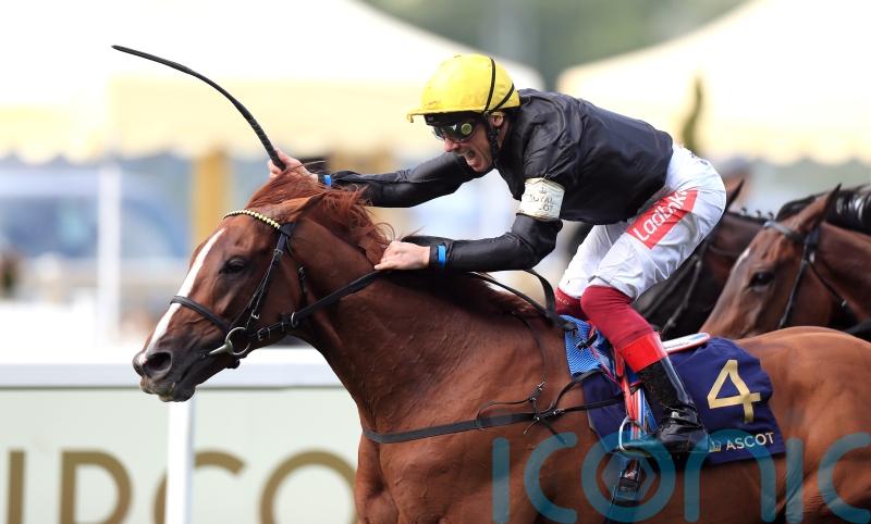 Gold Cup hero Stradivarius centre of attention in new home at National Stud