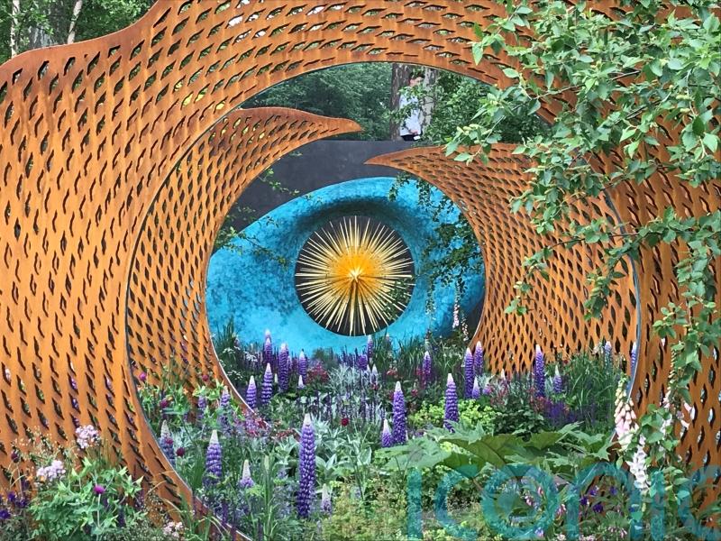 How to add drama to your garden