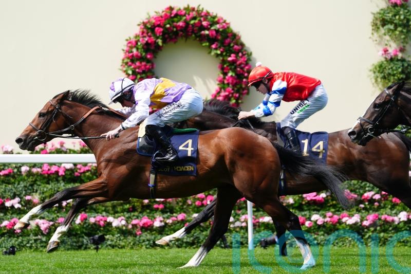 Distance runner gets up late for thrilling King George V win