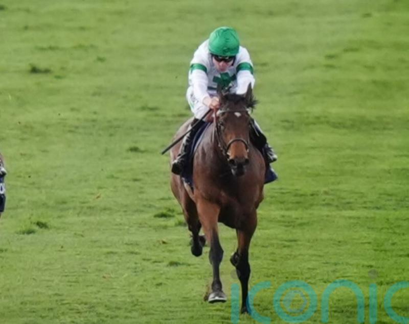 Goodwood and Paris enter Tamfana equation