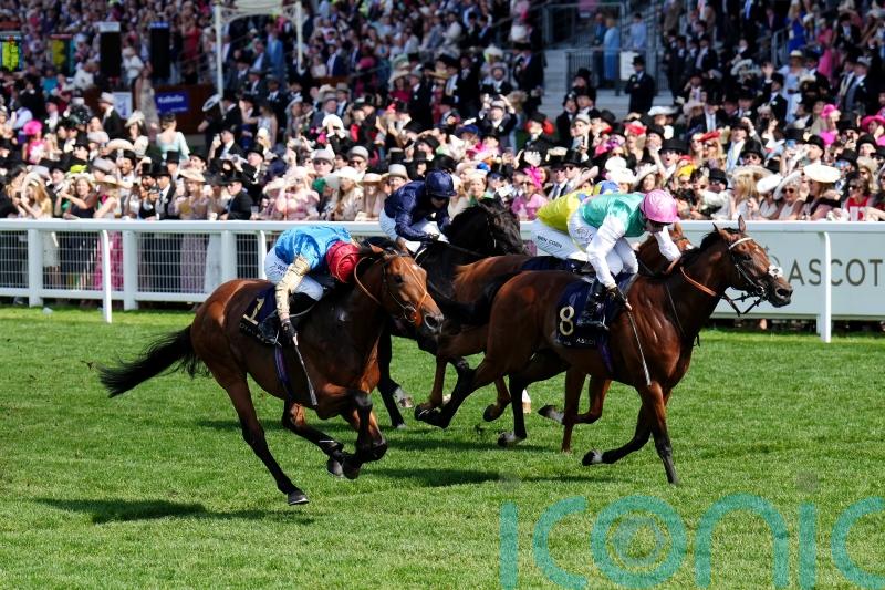 Haatem heading straight back up in trip after Jersey success