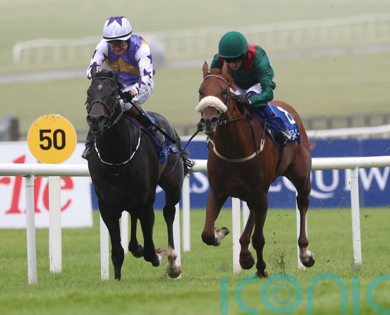 Hazdann shows true worth with gutsy Curragh strike