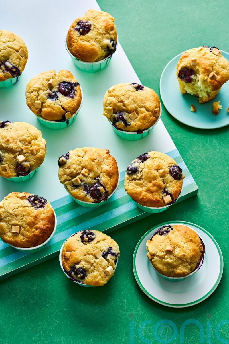 Pinch of Nom’s air fryer white chocolate and blueberry muffin recipe