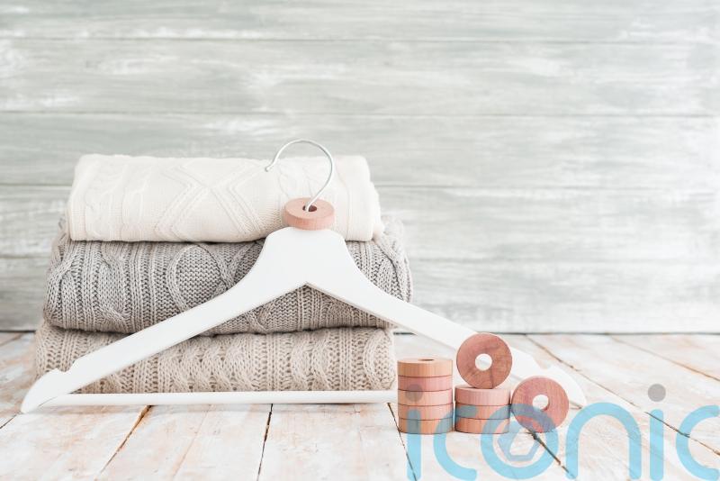 How to protect your wardrobe and clothes from summer moths