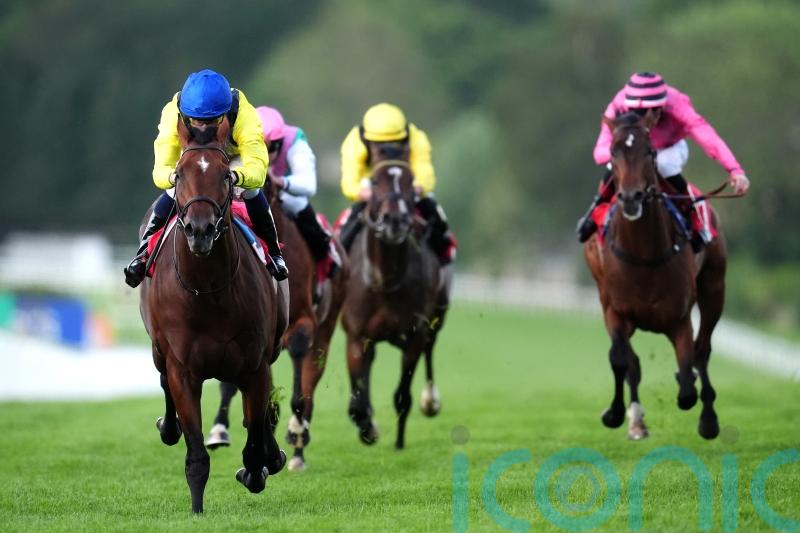 Almaqam in frame for York outing
