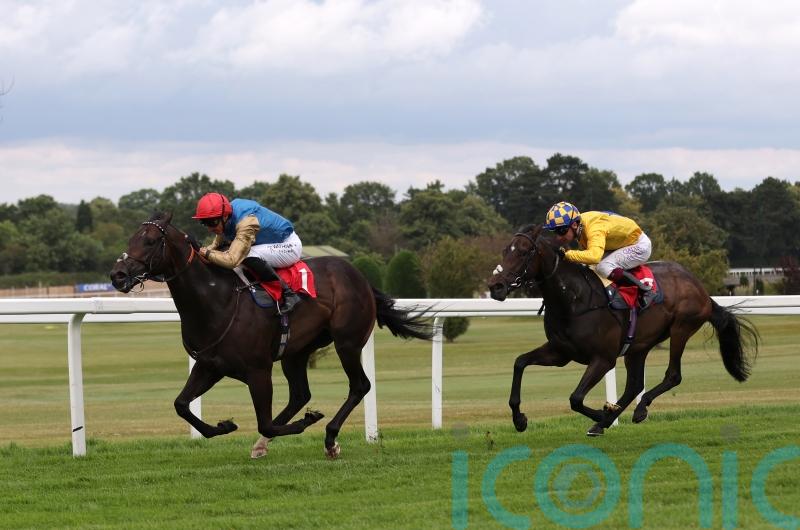 Palmer looking for It Ain’t Two to hit the back of the net
