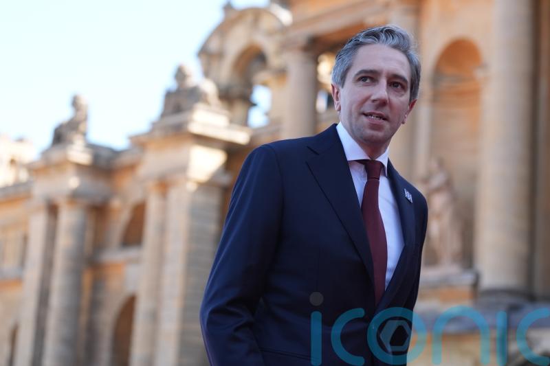 Government needs to do more to tackle rising toll of road deaths – Harris