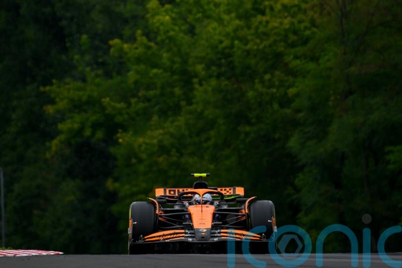 Lando Norris secures fastest time in final practice for Hungarian Grand Prix