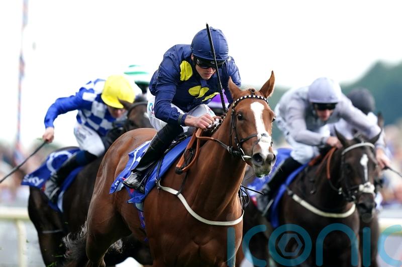 All roads lead to Haydock for Swingalong in Group One quest