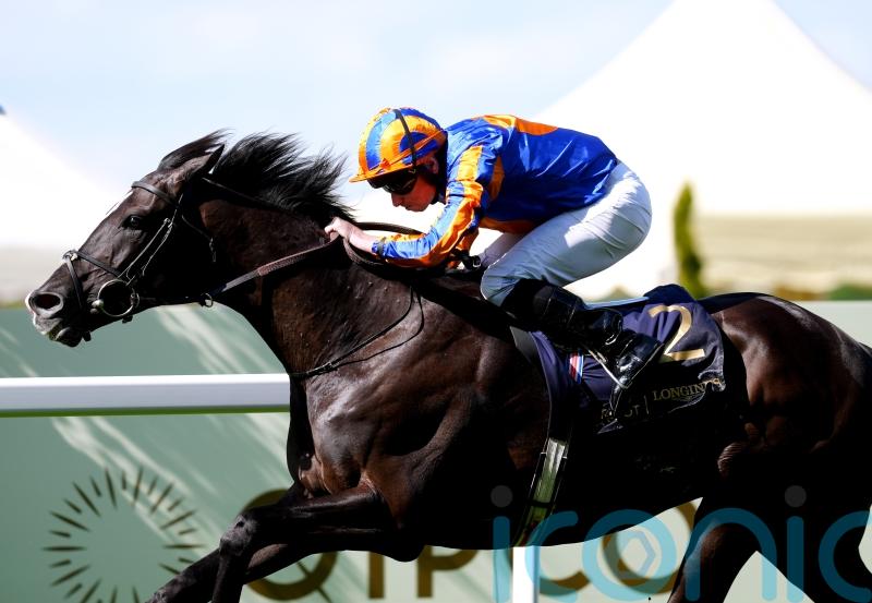 Japan Cup likely to come into focus for Auguste Rodin