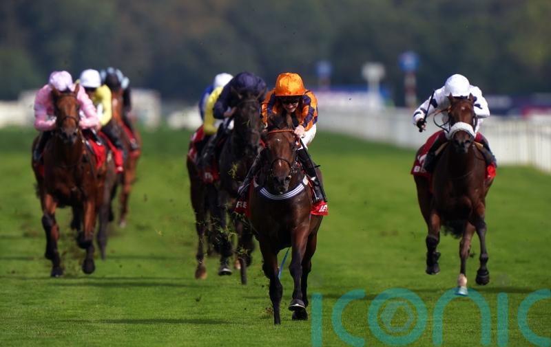 Teal hopes new Goodwood trip can be a hit for Dancing Gemini