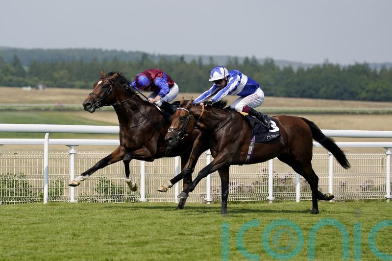 Jan Brueghel stakes Leger claim with gutsy Gordon Stakes win