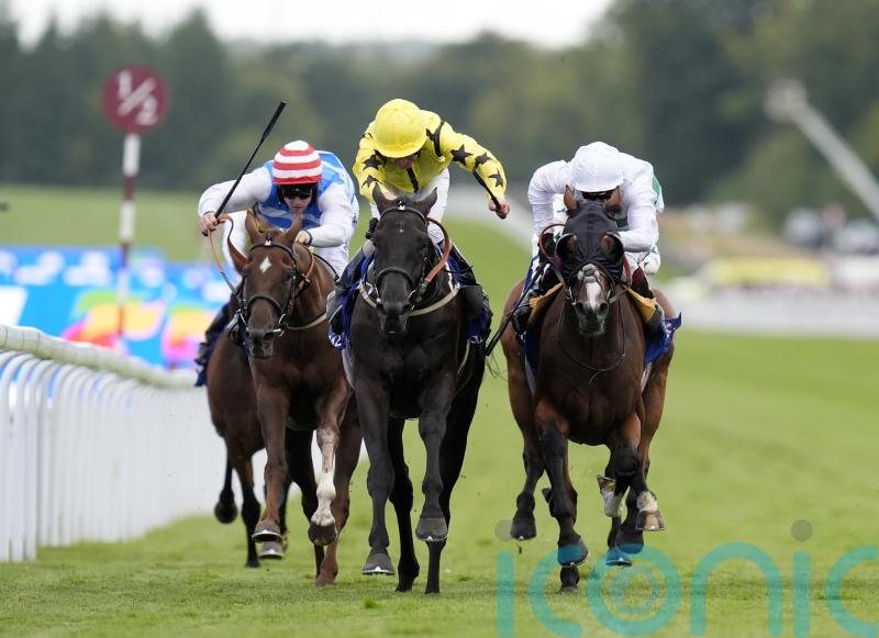 Align The Stars enters Leger picture after game success