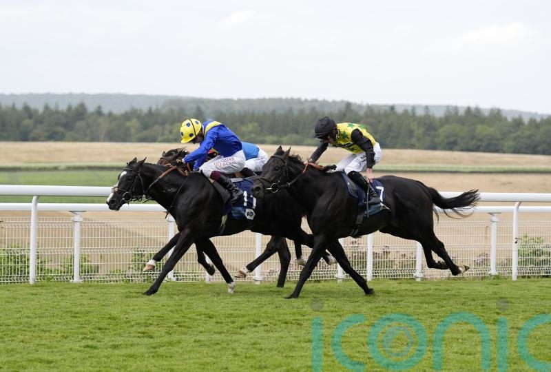 Hott Shott and Spell Master cannot be split at Goodwood