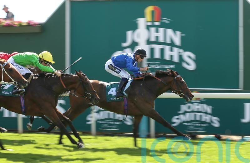 Anmaat on course for Haydock comeback after long lay-off