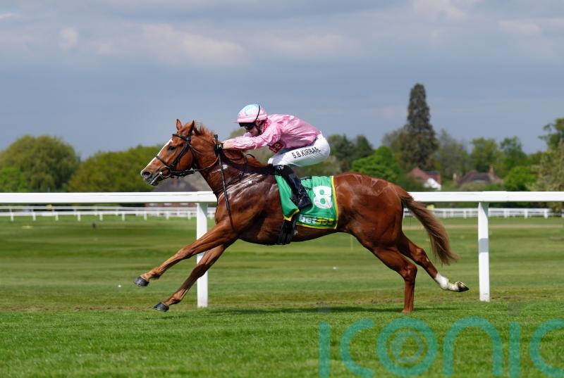 Live In The Dream back on right track for Nunthorpe repeat