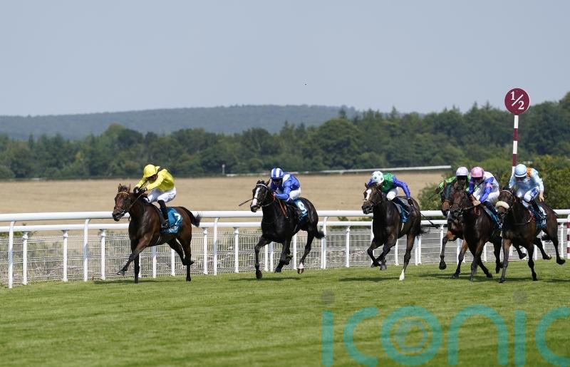 Raqiya camp facing conundrum over suitable next step