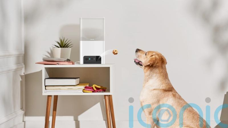 5 of the best bits of tech for pet owners