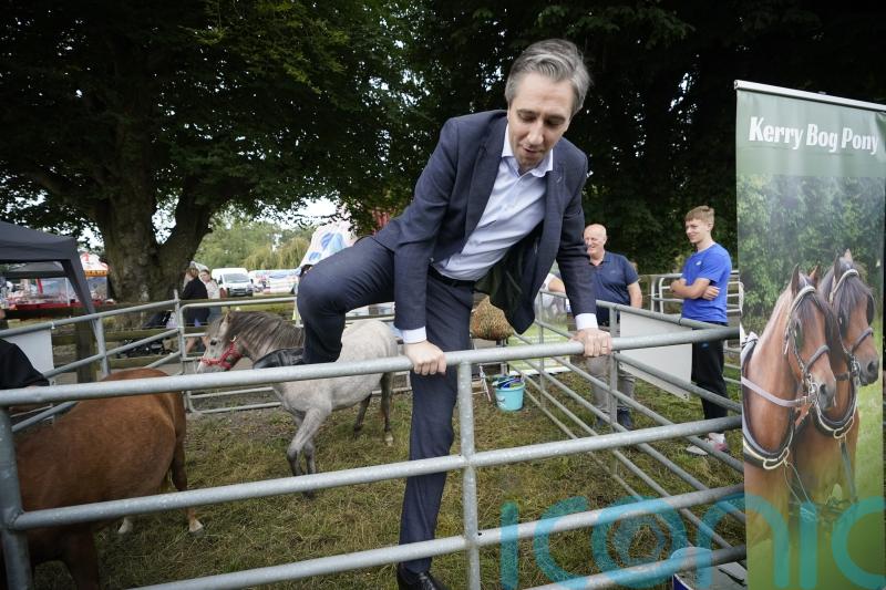 &lsquo;Offensive&rsquo; to call active farmers 'land hoarders', Taoiseach says