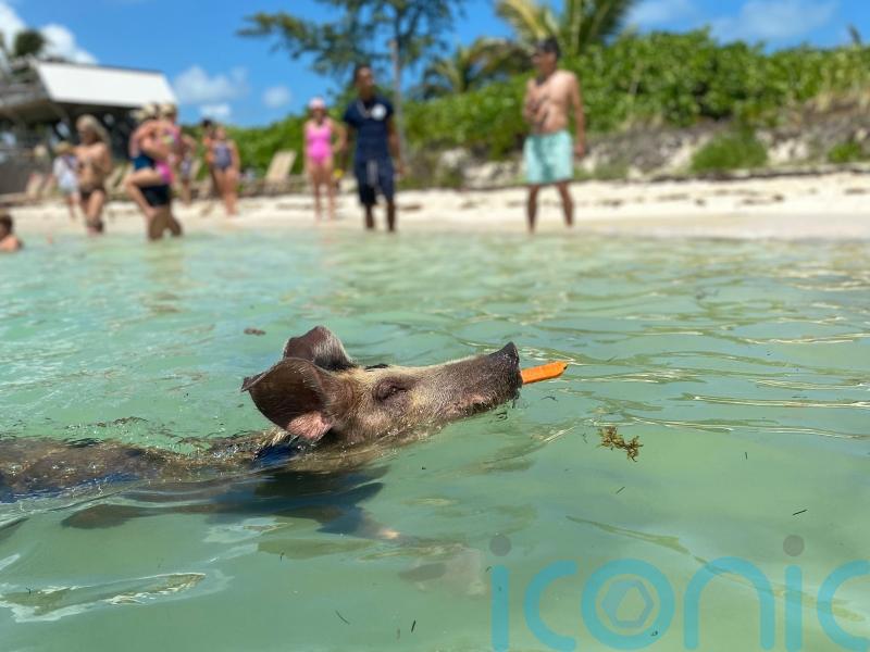 Beyond the billionaire mansions: 6 ways to discover the authentic Bahamas