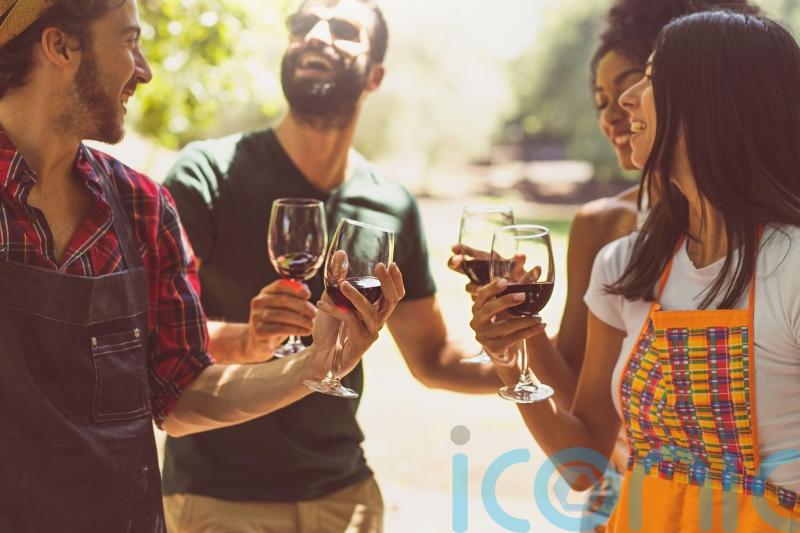 6 brilliant bottles of wine that won’t break the bank