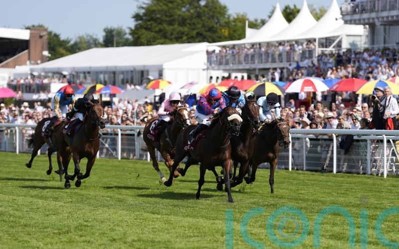 Big Evs and Asfoora all set for ‘grand final’ in Nunthorpe