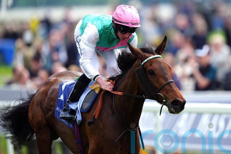 Bluestocking set for little break before Paris or Ascot trip