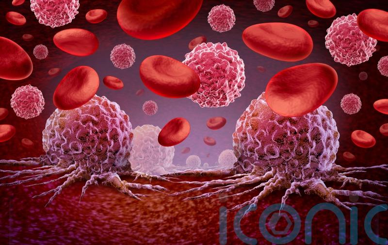 Blood Cancer Awareness Month: All the symptoms you need to look out for