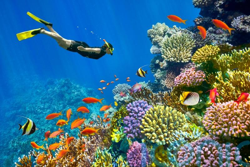 Dive below the surface to discover a refreshed and revived Sharm-el-Sheikh