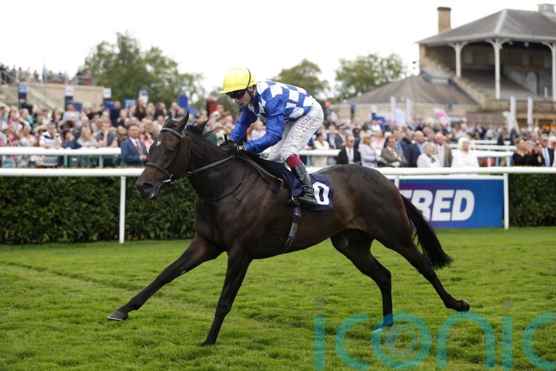 Sceptre defence top of Cotter’s agenda for Matilda Picotte