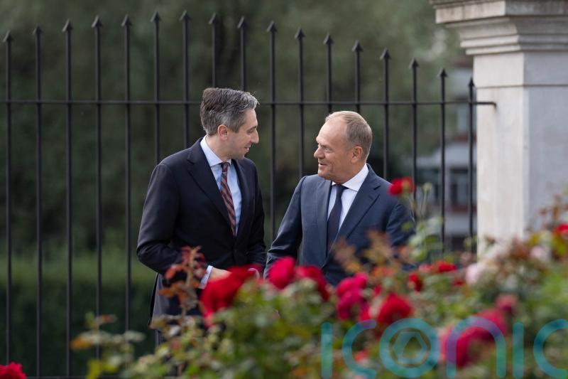 &lsquo;Polish-Irish synergy&rsquo; can help shape European policy, Tusk tells Harris