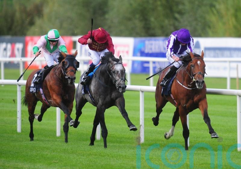 Memories of ‘phenomenal’ Roaring Lion still burn brightly for Murphy