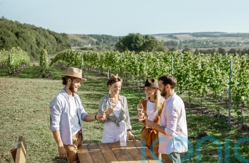 How to know the style of wine that’s right for you