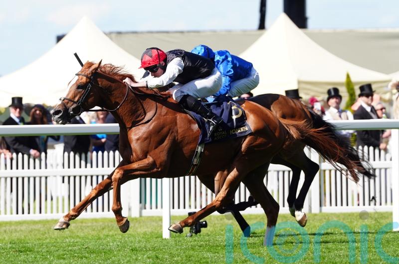 Resurgent Kyprios looking to snatch back Irish St Leger title