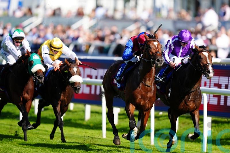 Jan Brueghel digs deep to give O’Brien an eighth St Leger