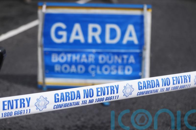 Garda deploy unmarked HGV to target distracted driving