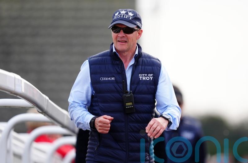 O’Brien left purring after City Of Troy stars at Southwell