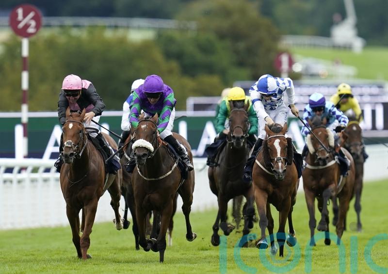 Novus digs deep for Goodwood Listed glory