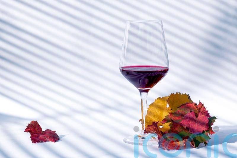 6 rich red wines for Sunday roasts