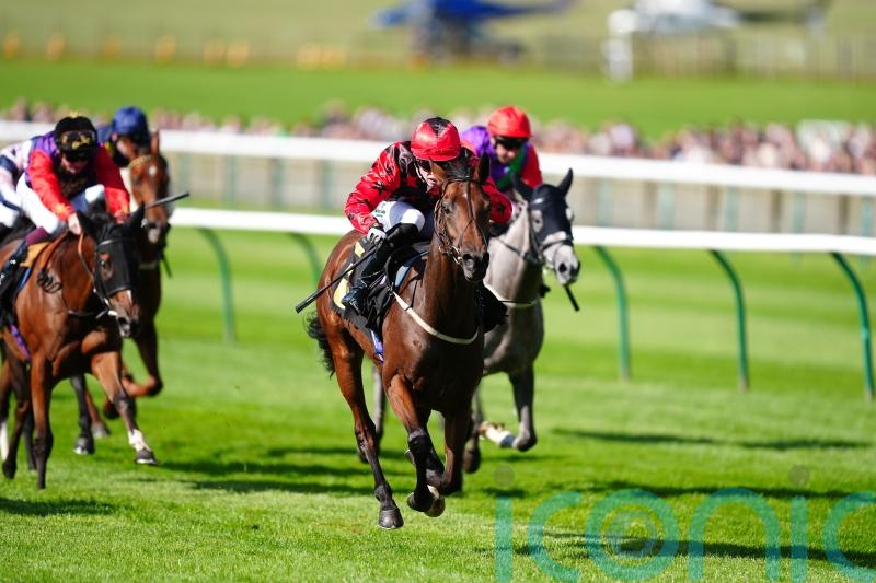 Naina continues on upward curve with nursery win