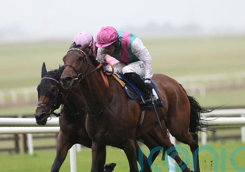 Top filly Bluestocking added to Arc field
