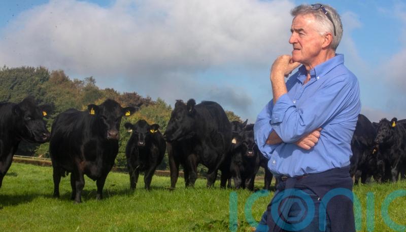 Michael O’Leary ‘astonished’ by green power of his farm’s solar panels