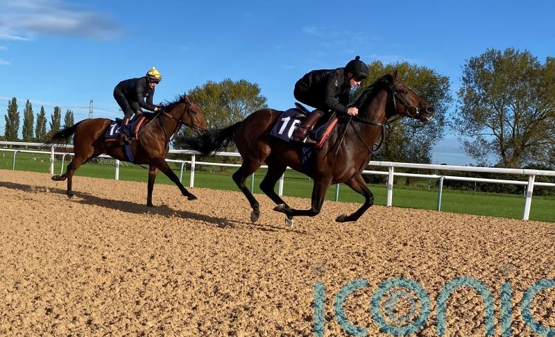 Big Evs prepares for Breeders’ Cup bid with Southwell gallop